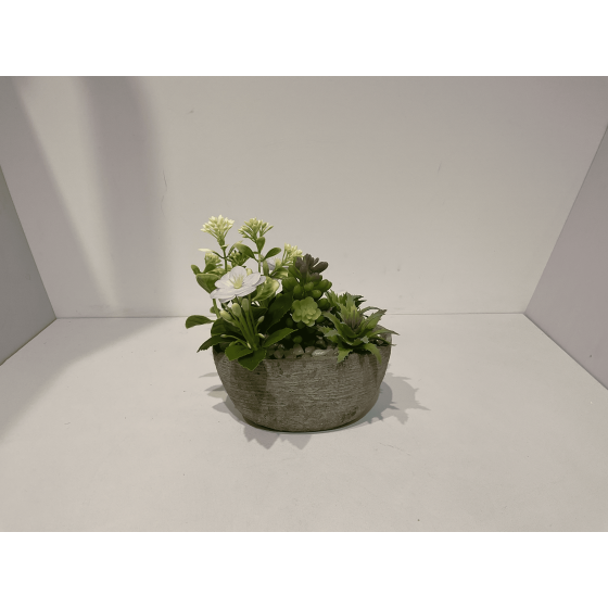 多肉植物组合盆栽